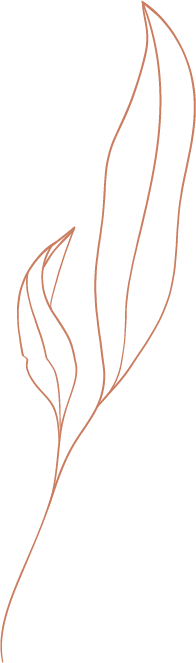 imagen de hoja decorativo